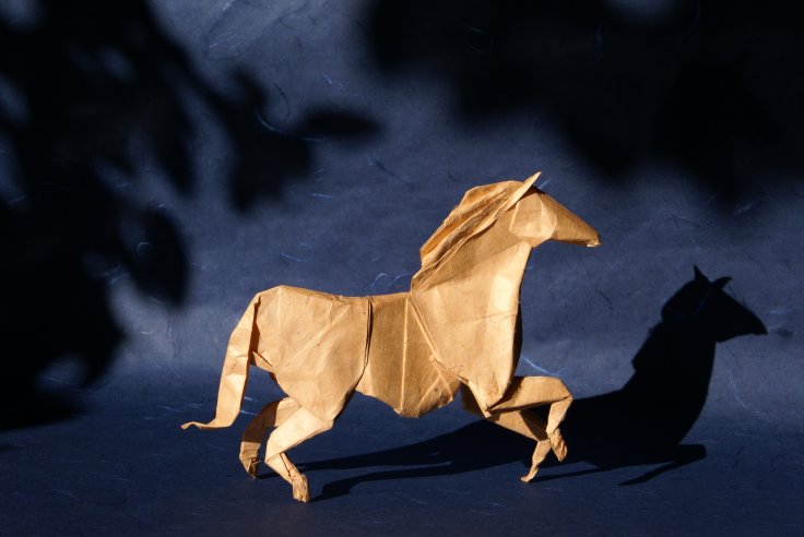 Caballo, Roman Diaz
