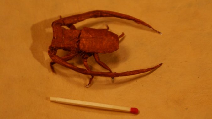 Cerambycid beetle, plié à partir du CP de RJ Lang, dans ODS, Papier soie/alu, carré 174mm.
