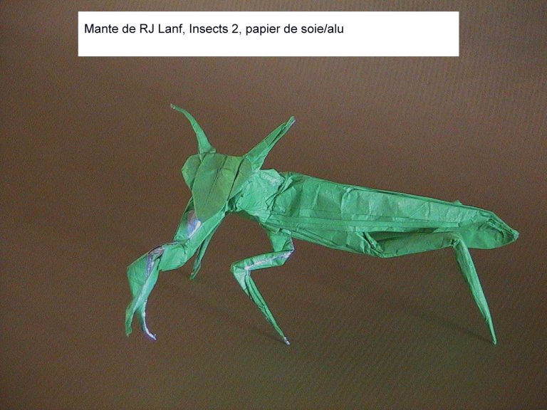 Mante, RJ Lang, Insect 2
