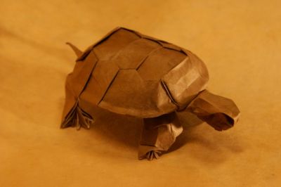 Tortue de RJ Lang
western pond turtle, RJ Lang, lokta, carré 490mmn, dans ODS. Traitement au MC pour le maintient des plis, rainurage pour les écailles de la carapace.
Mots-clés: tortue origami Lang