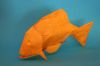Nom du fichier=poisson_joisel_verso.jpg
Taille du fichier=70Ko
Dimensions : 1024x682
Ajouté le : 27 Mai 2009 poisson_joisel_verso.jpg