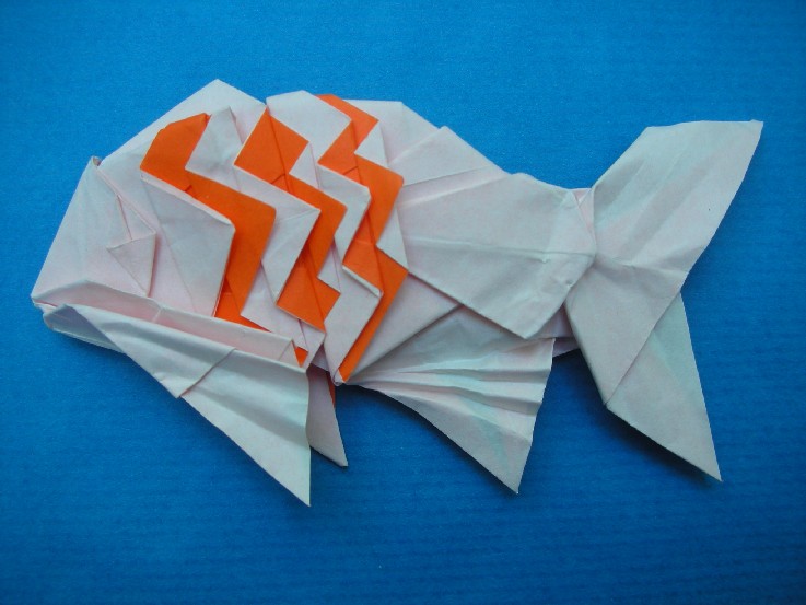 poisson a deux feuilles
