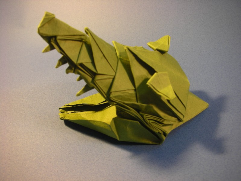 crocodile
