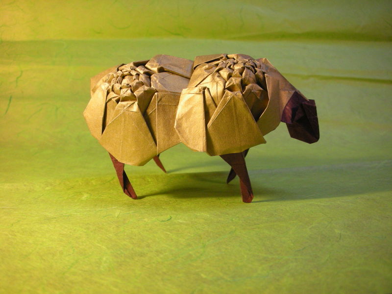 Mouton 1
