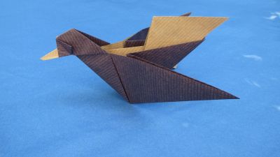 Canard en vol de Chouartem

