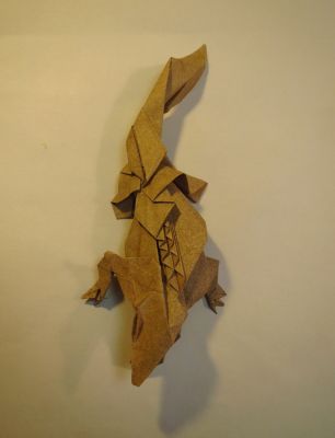 Croco
