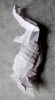 Nom du fichier=004~0.JPG
Taille du fichier=315Ko
Dimensions : 590x1054
Ajouté le : 05 Juin 2017 004~0.JPG