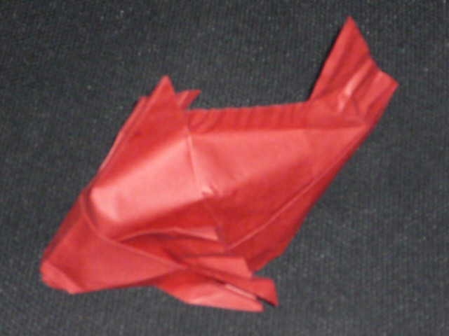 Merou Ty Sovan
Papier tant wet folding
Mots-clés: poisson