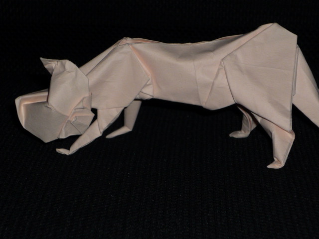Chat Joisel
Tant Wet folding
Mots-clés: chat