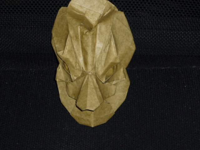 Masque Fuse
Elephant wet folding
