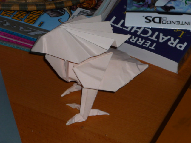 Chocobo Kamiya
Tant wet folding
