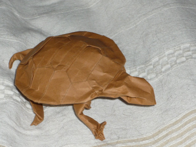 Tortue a écailles R.Lang
Tortue fait en papier tant a sec avec un peu de doigts mouillés pour les dernieres finitions
