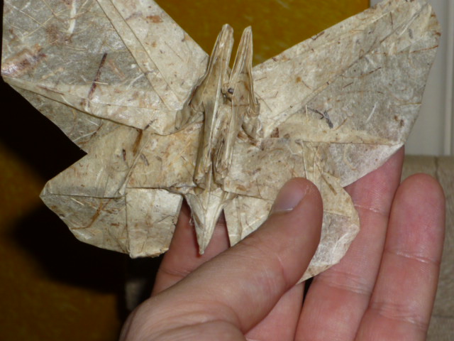 Papillon R J Lang
Papier banane traité au colle blanche diluée
