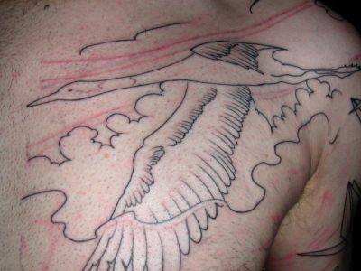 detail grue
