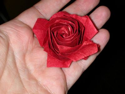 rose Naomiki
lokta 
