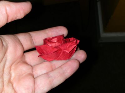 rose Naomiki
papier lokta
