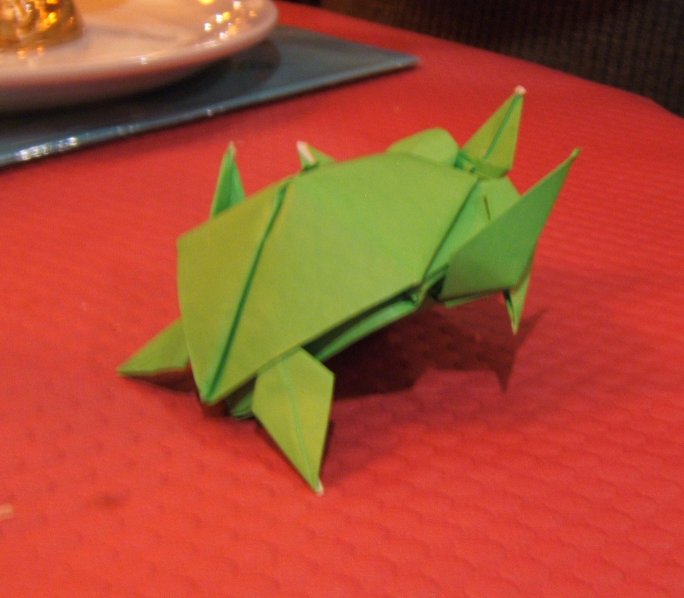 tortues

