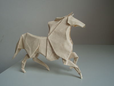 Cheval de Diaz
Peau éléphant de 35cm en Wet fold
