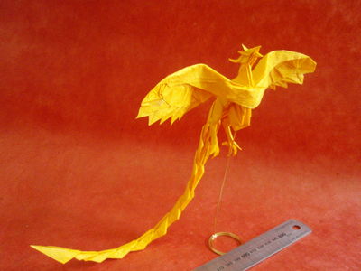 Phénix de Kamiya
Unryu+MC de 48cm
