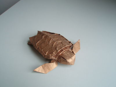Tortue de Kamiya
Soie métalisée de 30cm
