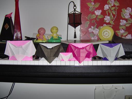 1_chauve-enveloppe-souris.JPG
