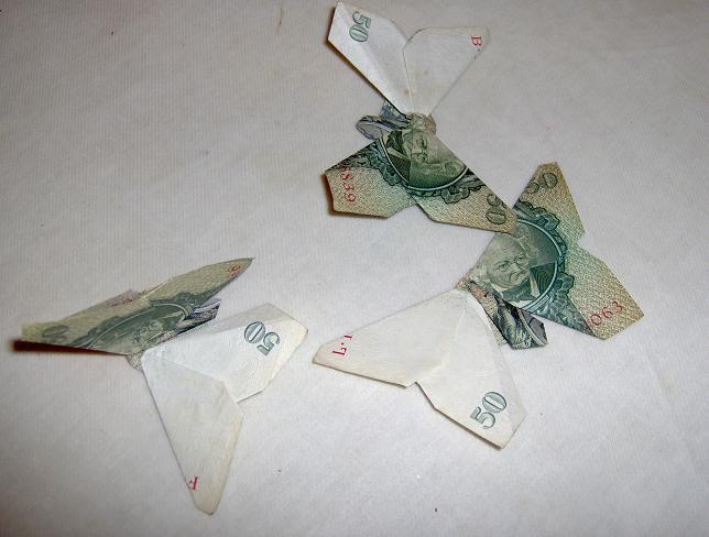 56_échauffement_de_papillons.JPG