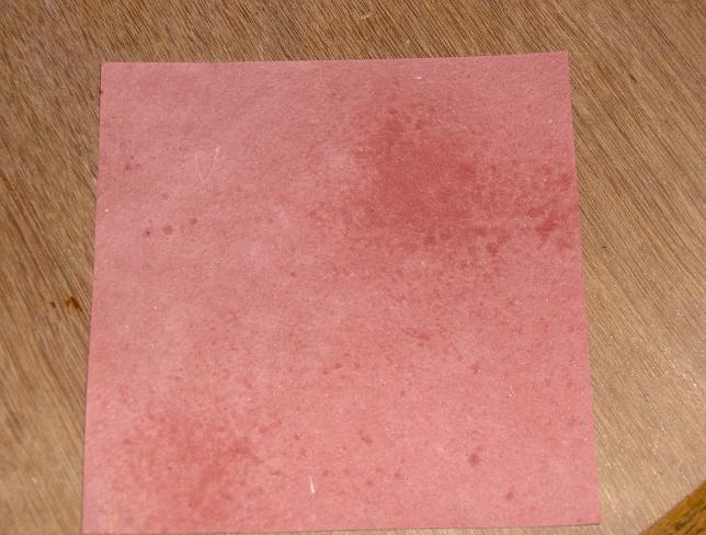 6_papier_maison_d_aurèle,_mal_humidifié.JPG