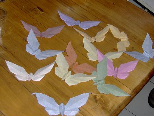 6_une_nuée_de_papillons.JPG