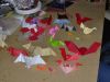6_alors_que_les_chauve-souris_préféreraient_les_cookies.JPG