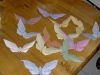 6_une_nuée_de_papillons.JPG