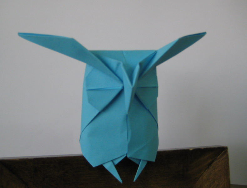 Owl
