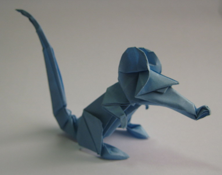 Rat
