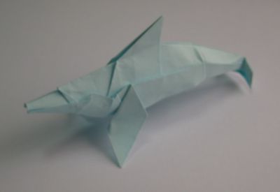 Dolphin
