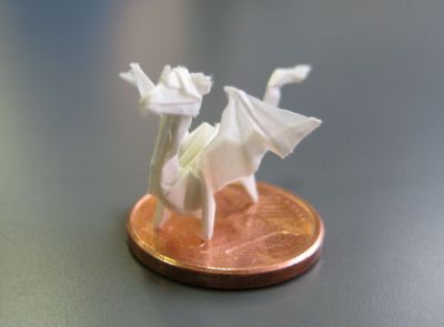 dragoncito - size
