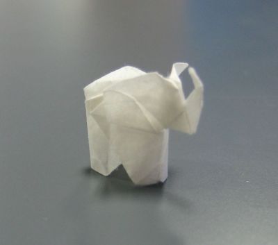 elefantito
