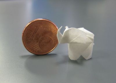 elefantito - size
