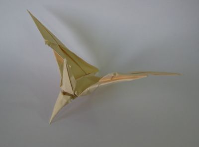 Pteranodon
