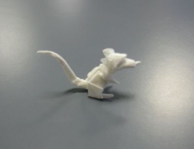 ratoncito
