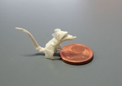 ratoncito - size
