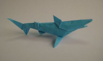 Shark
