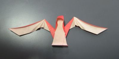 Ange 1
