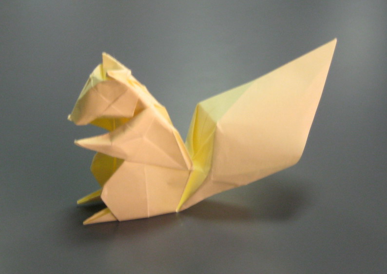 Squirrel 1
