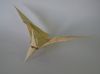 Nom du fichier=Pteranodon.jpg
Taille du fichier=56Ko
Dimensions : 814x603
Ajouté le : 03 Mars 2008 Pteranodon.jpg