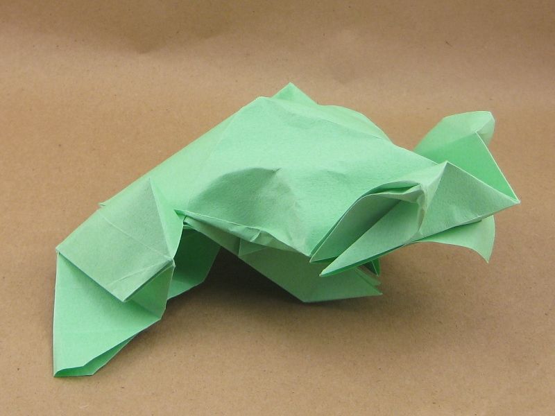Bullfrog de Roman Diaz
