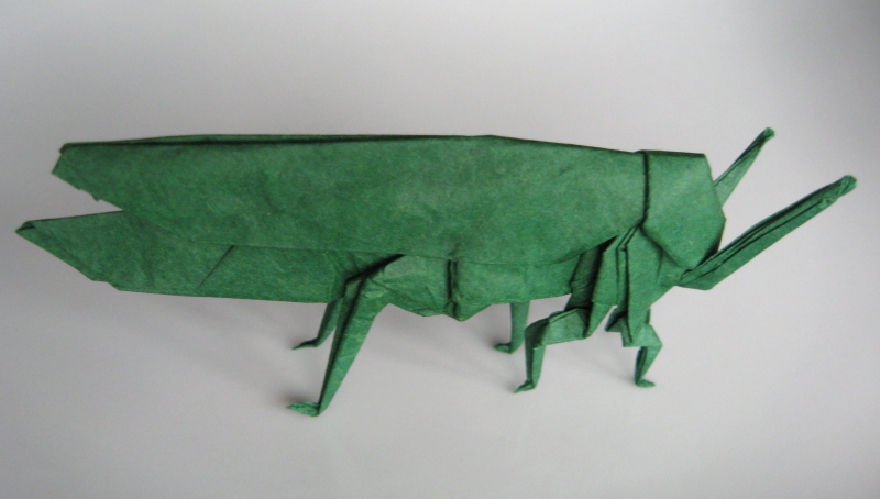 Sauterelle de Anibal Voyer
