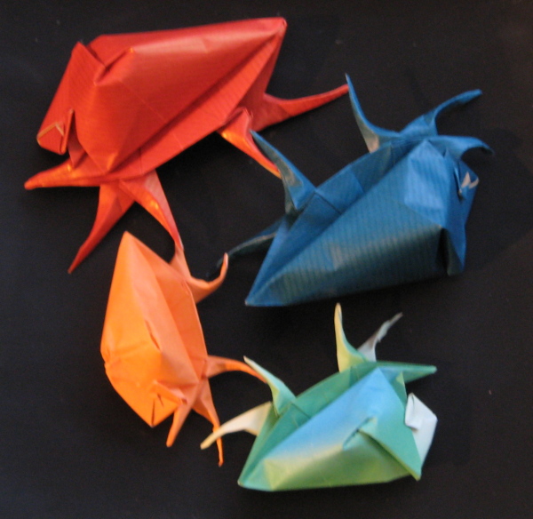 Coquillages de Lang
