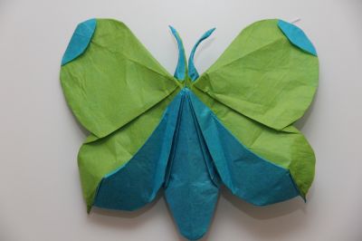Butterfly1.jpg