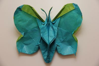 Butterfly2.jpg