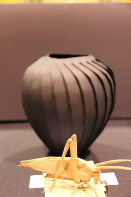 Exposition de Robert Lang
