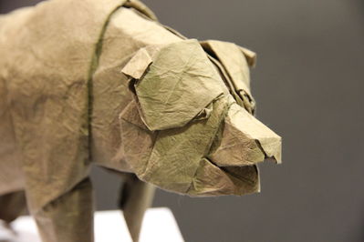 Exposition de Seth Friedmann
